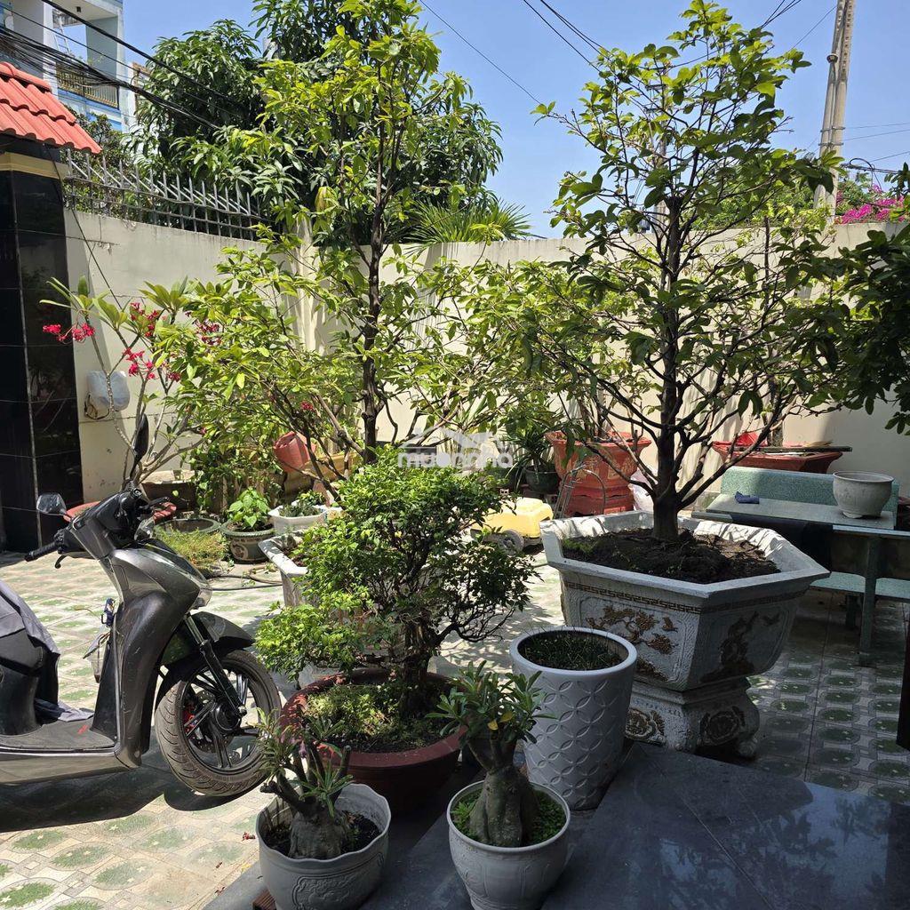 Biệt thự mini kdc đại hải 200m2 - 3