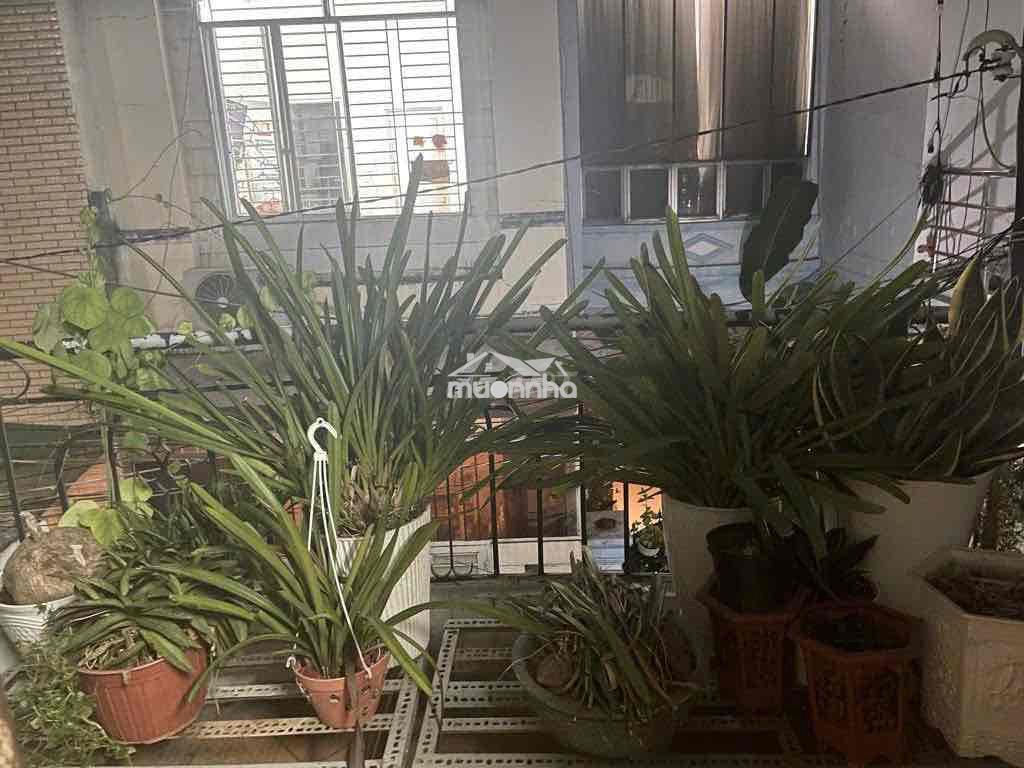 Nhà đẹp lạc long quân – gần ngã 4 bảy hiền – giá chỉ 6,xx tỷ - 4