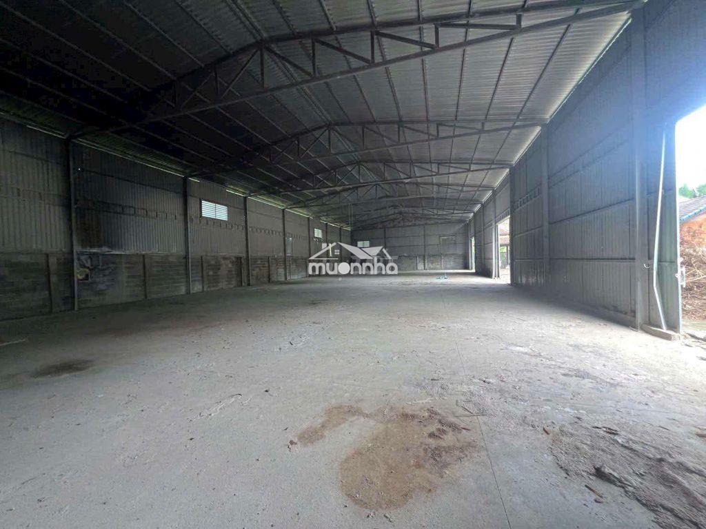 Xưởng phú chánh 600m giá 20 triệu xưởng mới 100% - 2