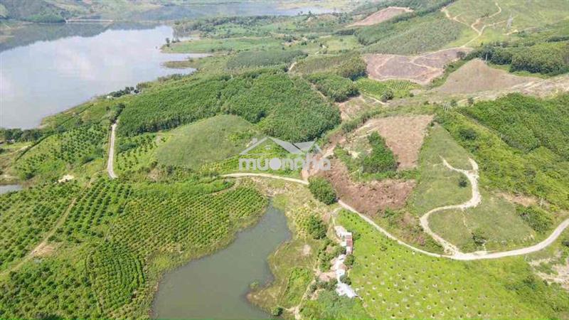 🌄 Sở hữu ngay view hồ triệu đô – giá chỉ 720 triệu! 8.205 m2