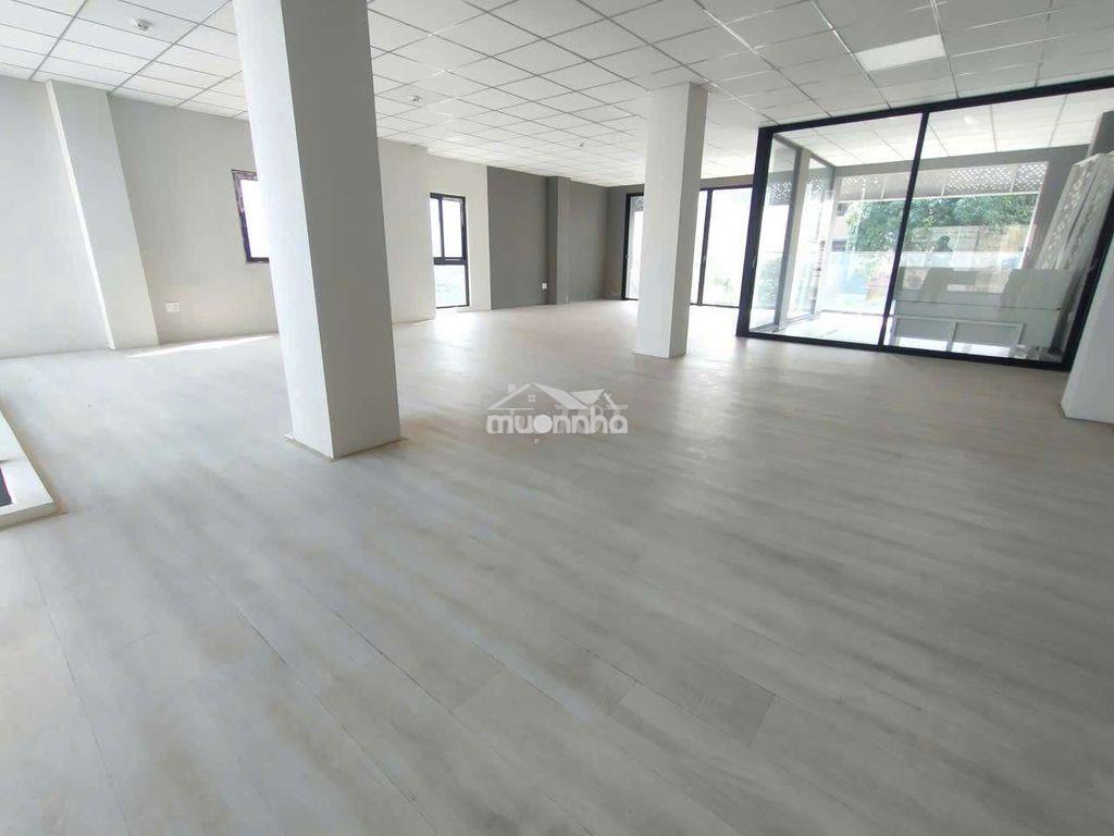 Cho thuê nhà nguyên căn hẽm ô tô đường lãnh binh thăng - 3