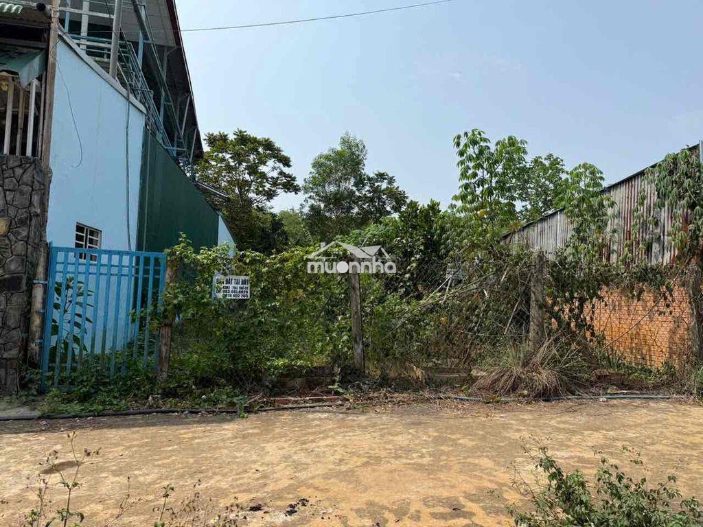 Cần bán đất full thổ cư. - 2