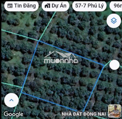 Đất nền phú lý, vĩnh cửu – 8.954m² tại đồng nai với giá 3,5 tỷ đồng