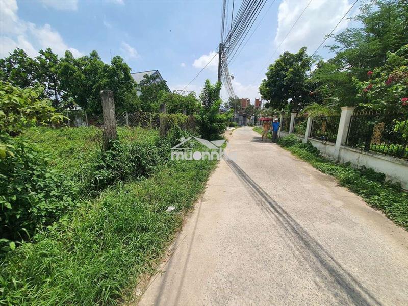Đất 5x25 gần thị trấn long thành, sát cao tốc biên hòa - vũng tàu.