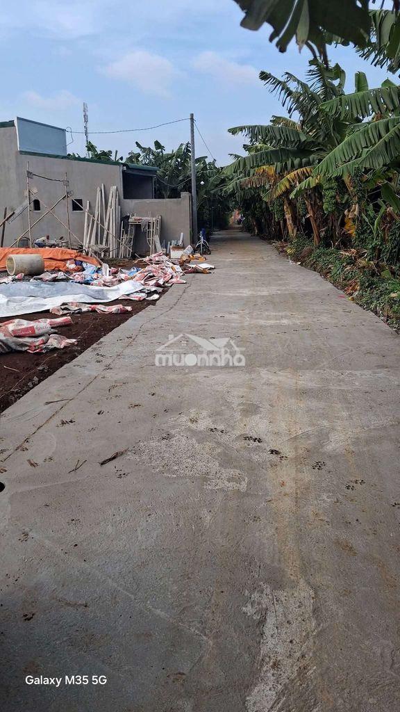 Đất thổ cư sổ riêng giá rẻ tp đồng nai - 3