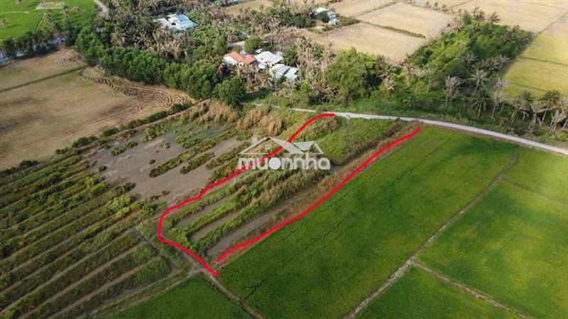 2000m2 đất nông nghiệp - tân nhựt