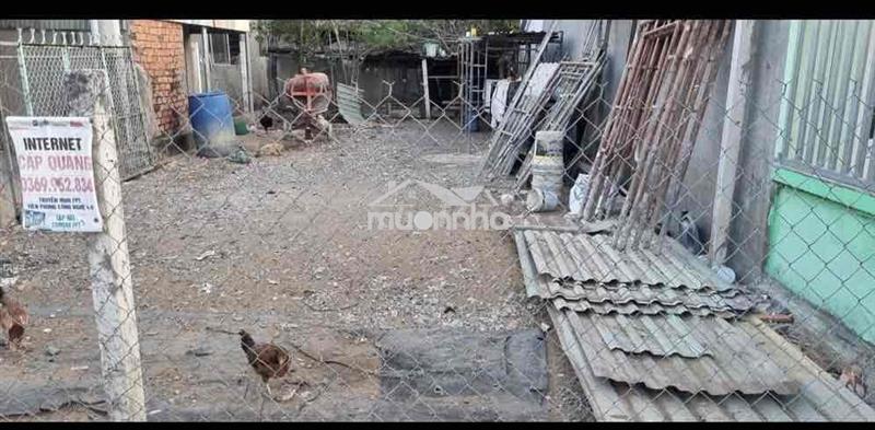 Bán nhà yến đang thu hoạch ở bình khánh, 308m2 giá tốt