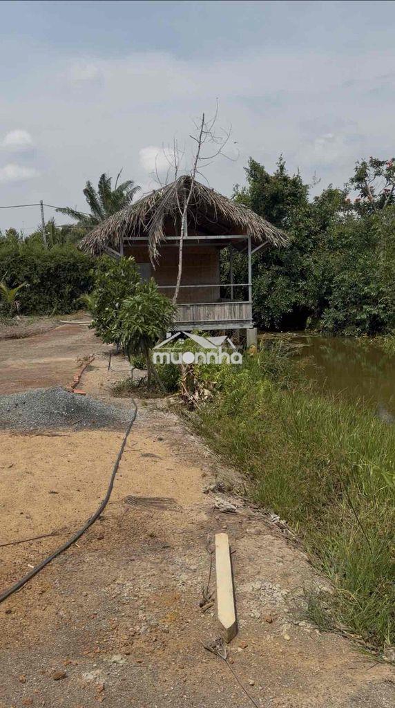 Nhà vườn đường xe hơi mặt tiền sông tại vĩnh thanh tp đồng nai - 2