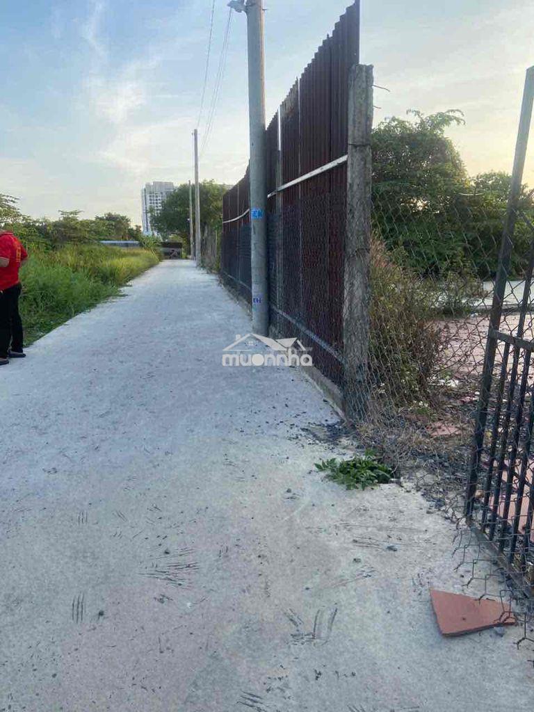 Đât 5x15m kdc đông đúc - 2