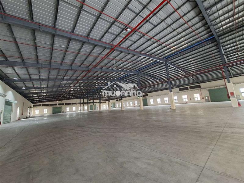 Cho thuê xưởng ở vsip 2 giá rẻ 3.5usd/1 m2