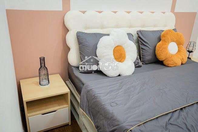 Nguyễn trãi q1. 10pn full nội thất. có thang máy - 4