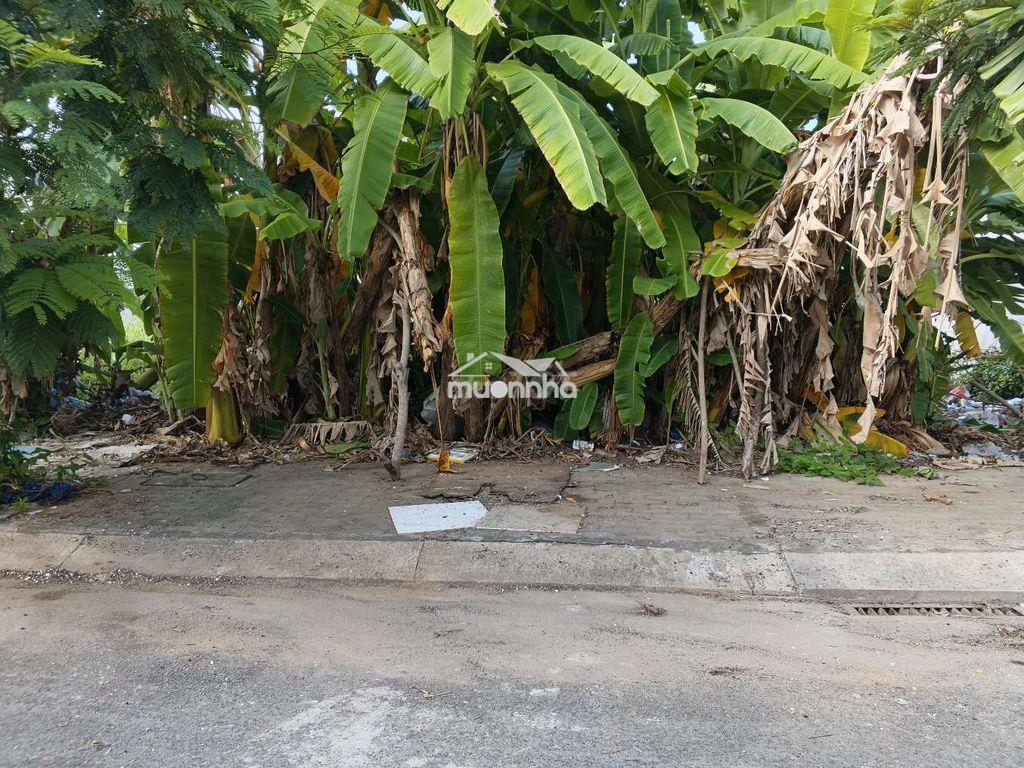 Chính chủ gửi bán nhanh đất kdc long hậu giáp nhà bè - 2