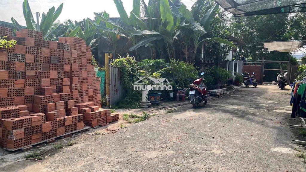 Siêu phẩm thổ cư 100% ngay sát đường phùng hưng. giá tốt - 2