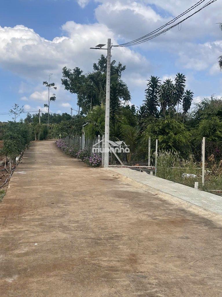 Bán lô đất ở phường dầu giây (xã hưng lộc cũ), tp. đồng nai.
