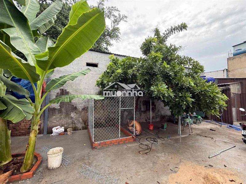 Cho thuê nhà trống giá rẻ khu vực cầu bến lội xã tân vĩnh lộc