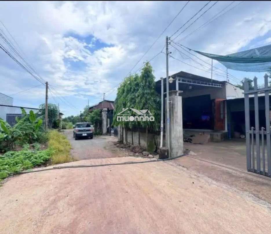 Nhà và đất 353m2 ngay khu dân cư hiện hữu - 3