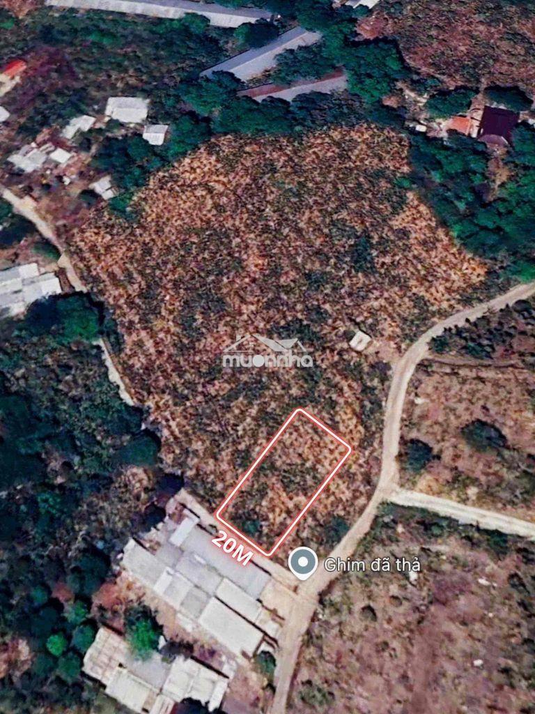 Bán đất 436m2 - quy hoạch thổ cư - giá 950tr - tại quang trung