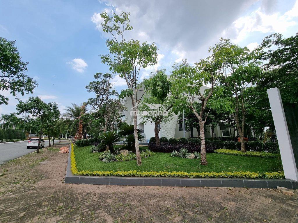 Nhượng gấp 2 lô đất mặt tiền d1,thống nhất khu bình nguyên - 3