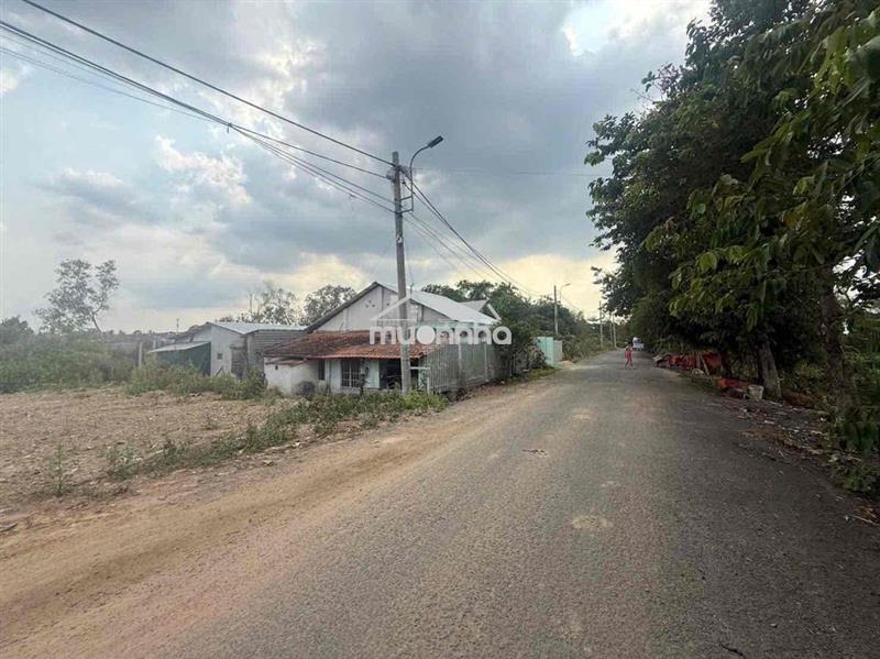 Bán đất mặt tiền nhựa đỗ văn dậy 16, đường nhựa 8m