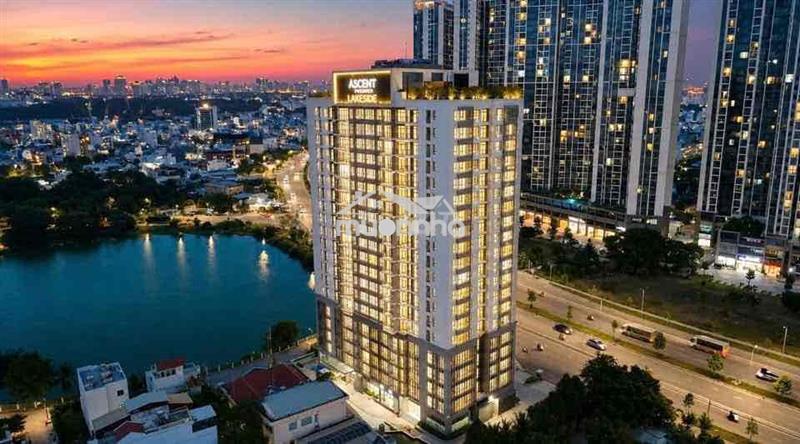 Căn hộ 152m² siêu rộng – chỉ 57 triệu/m² tại ascent lakeside quận 7