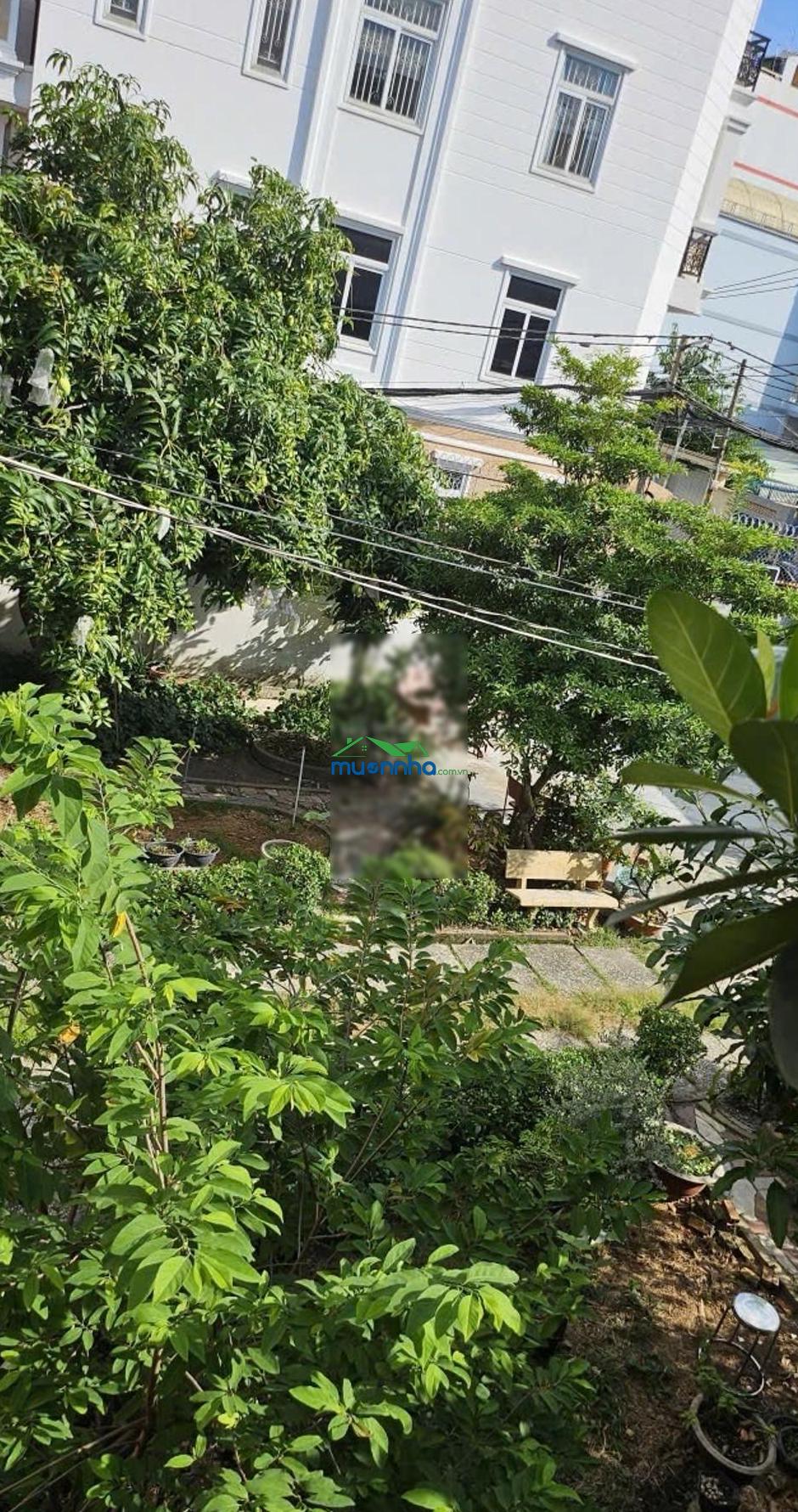 Bán nhà riêng sân vườn siêu rộng 625m2, đường trước nhà 16m, giá đầu tư, xây tòa nhà hoặc phân lô - 4