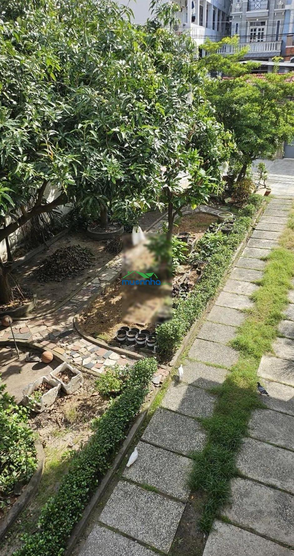 Bán nhà riêng sân vườn siêu rộng 625m2, đường trước nhà 16m, giá đầu tư, xây tòa nhà hoặc phân lô - 2