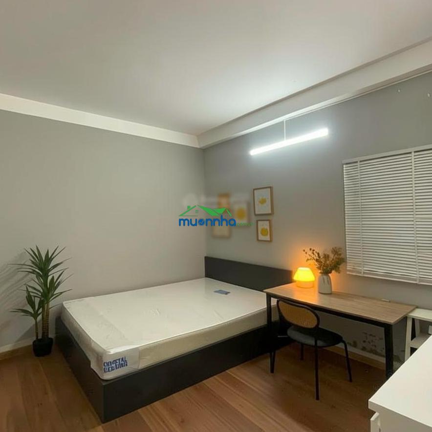 Hẻm nhựa 12m, ngang 7.6m, dt 182m2, giả chỉ 8x tỷ, có dòng tiền đều