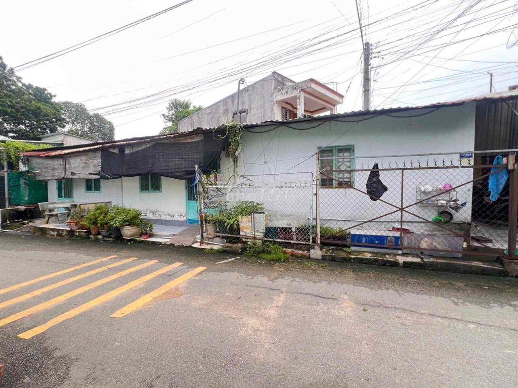 Bán đất tặng căn nhà cấp 4 và 2 kiot chánh mỹ-tdm gần ql13 giá êm - 2