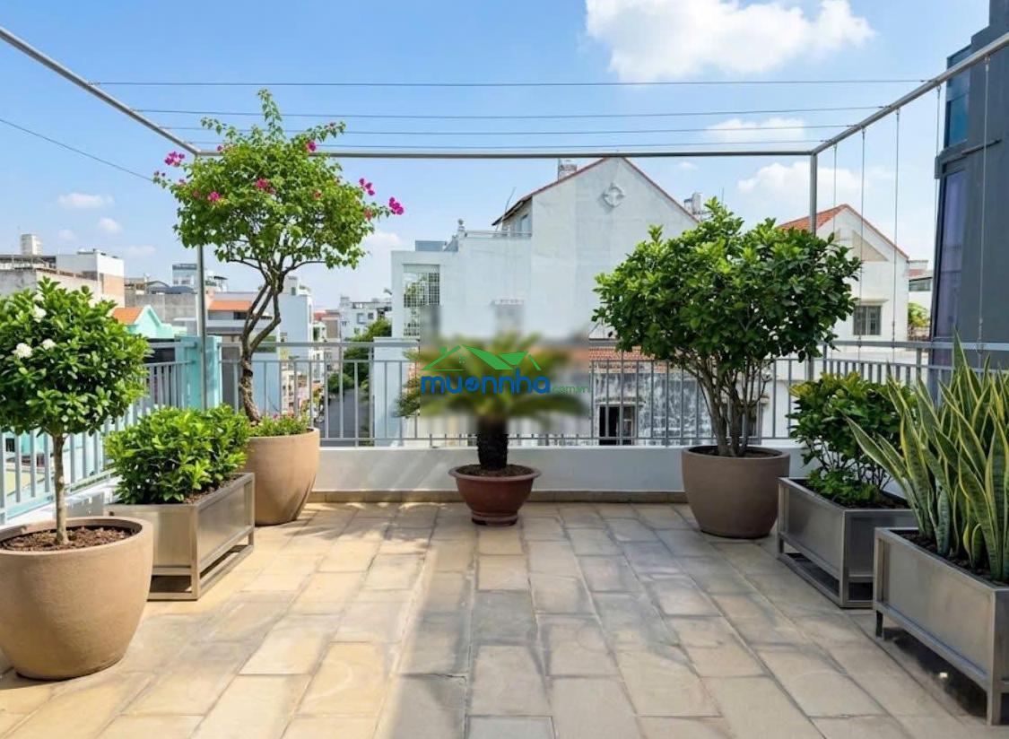 Vị thế đẹp k300 tân bình - đường 8m, ngang 7m nở hậu 10m, diện tích 240m² - 3