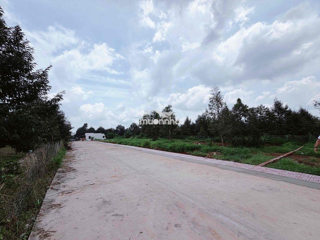 Cần bán 10x18 phun thổ cư - 2