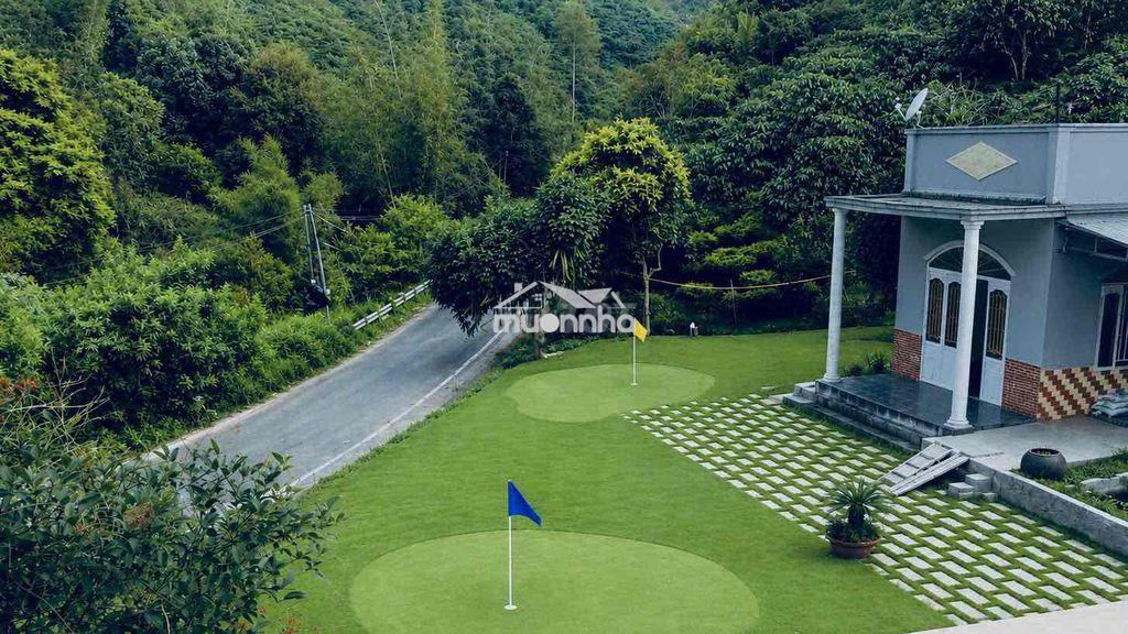 Siêu farm nghỉ dưỡng 1,45ha – mặt tiền blaosire đầy đủ nguồn thu cà sầ - 3