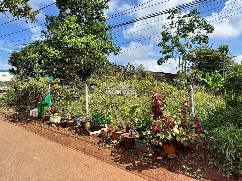 Đất siêu đẹp chính chủ cần bán nhanh đất hàng gòn-long khánh, đồng nai - 3