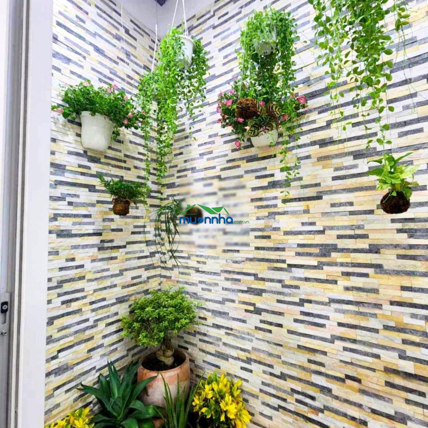 Diện tích lớn. chỉ nhỉnh 7ty. dt: 100m2 ~ 70tr/m2 - an lạc bình tân. (chủ gấp bán)