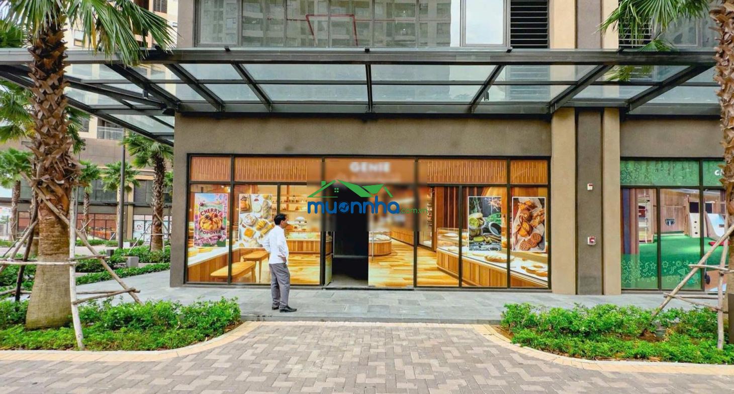 Mở bán shophouse độc bản gladia heights sở hữu lâu dài, hỗ trợ hd thuê 6 năm - 2