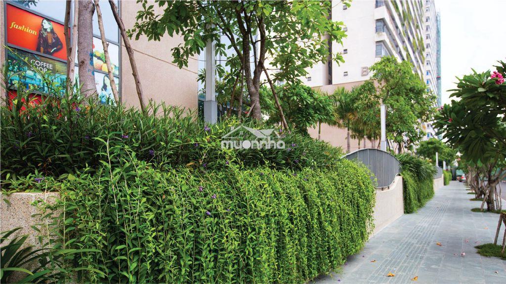 Diamond lotus riverside 1pn-1wc_49m2_full nội thất đẹp_giá tốt - 2
