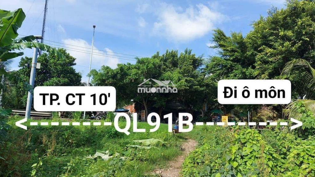 Chính chủ cần bán gấp đất mt ql91b, thới an đông, cần thơ - gần 3000m2 - 3