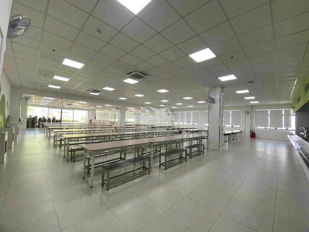 🔥 Mt bạch đằng, p.2, tân bình - hầm + 8 tầng - 8x33m - 1.200m² sàn - g - 4