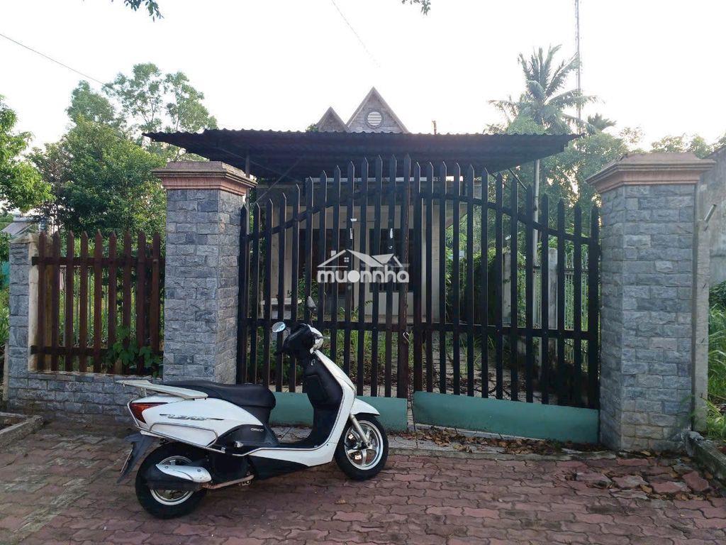 Bán gấp nhà mặt tiền đường nguyễn tri phương, phường chánh nghĩa, - 3
