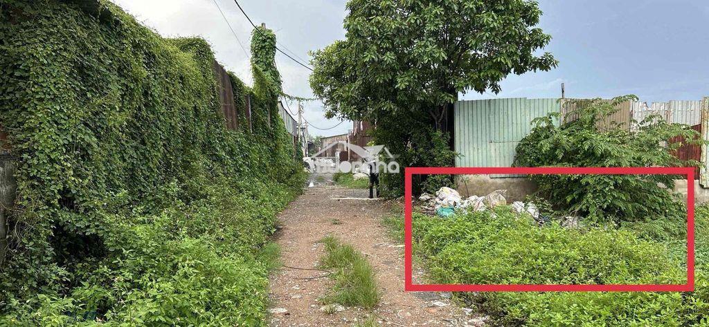 530m2 đất vla đường 8m xe tải quay đầu, điện nước đầy đủ - 3