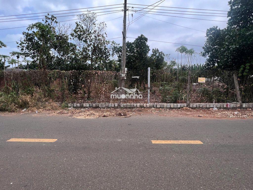Bán đất hòa long thành phố bà rịa vũng tàu - 3