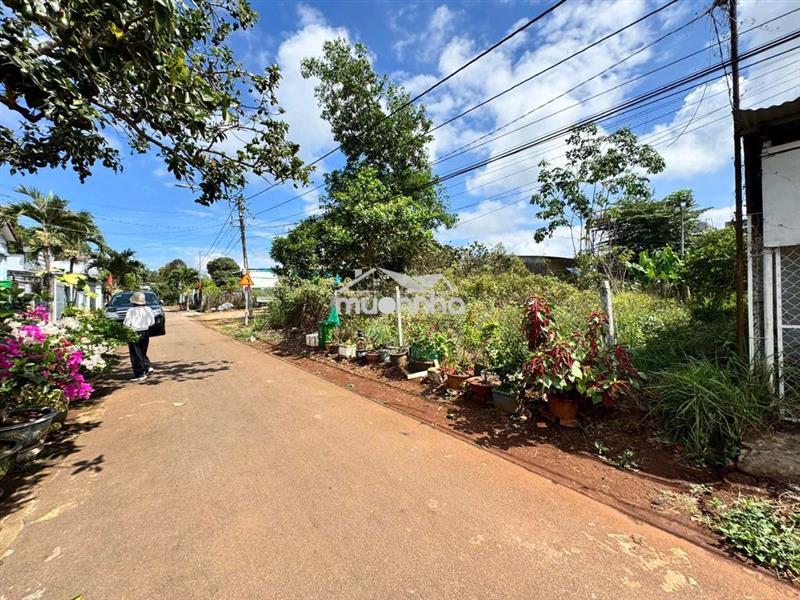 Đất siêu đẹp chính chủ cần bán nhanh đất hàng gòn-long khánh, đồng nai