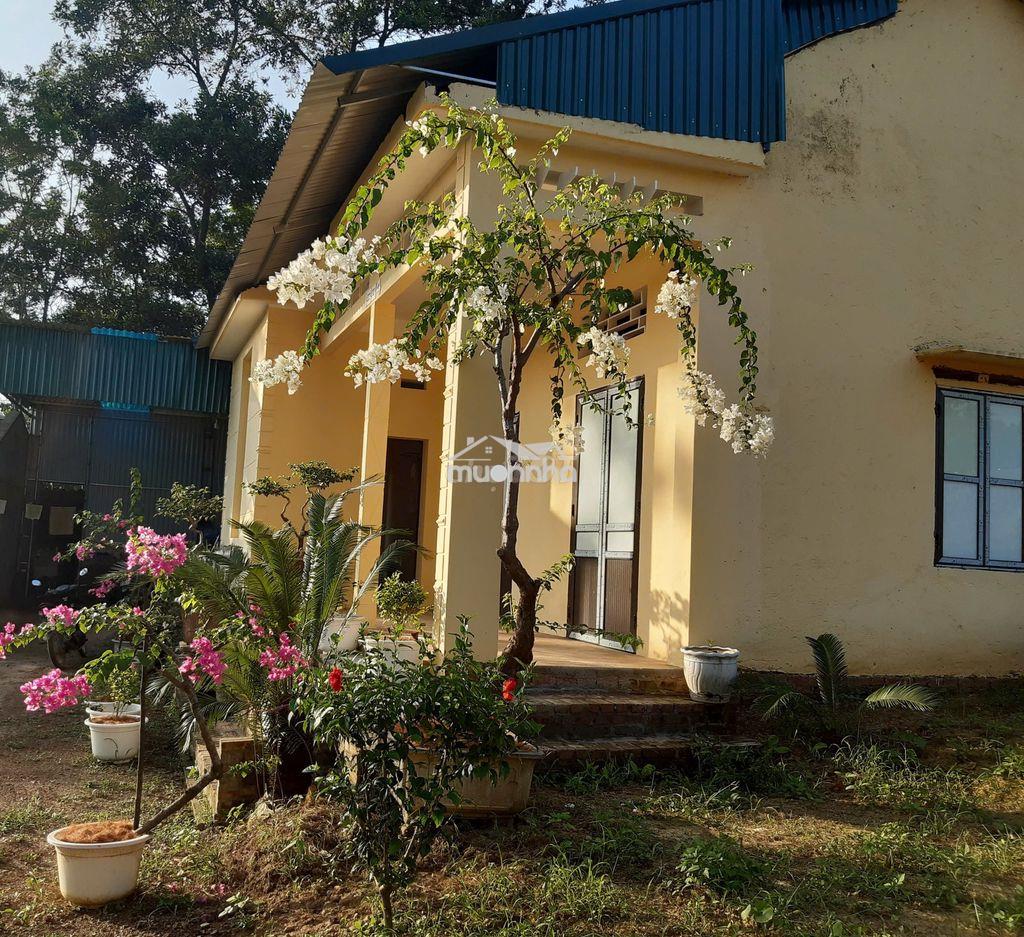 Cần bán nhà vườn 2193m² chính chủ - ba vì, hà nội - 4
