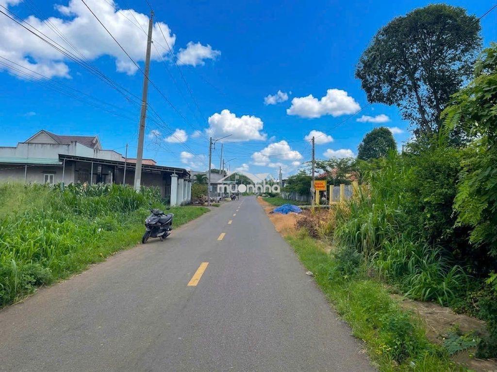250m2 + 100m2 tc nhựa 7m 550tr ngay ubnd xã an linh  - 3
