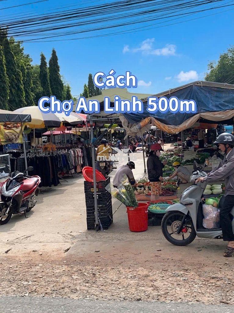 250m2 + 100m2 tc nhựa 7m 550tr ngay ubnd xã an linh  - 4
