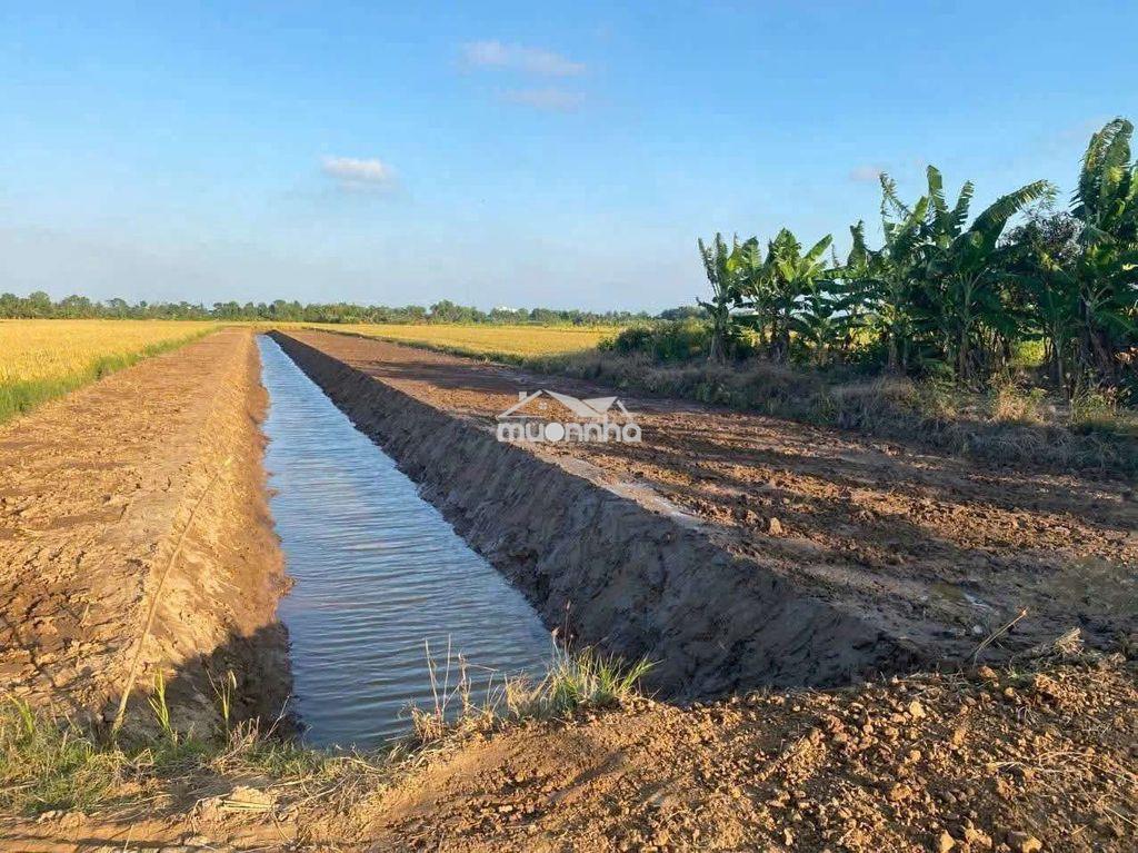 💥 Cần bán 2.657,5m² đất xã ba tri (bến tre)
▪️ ngang 16m - 4