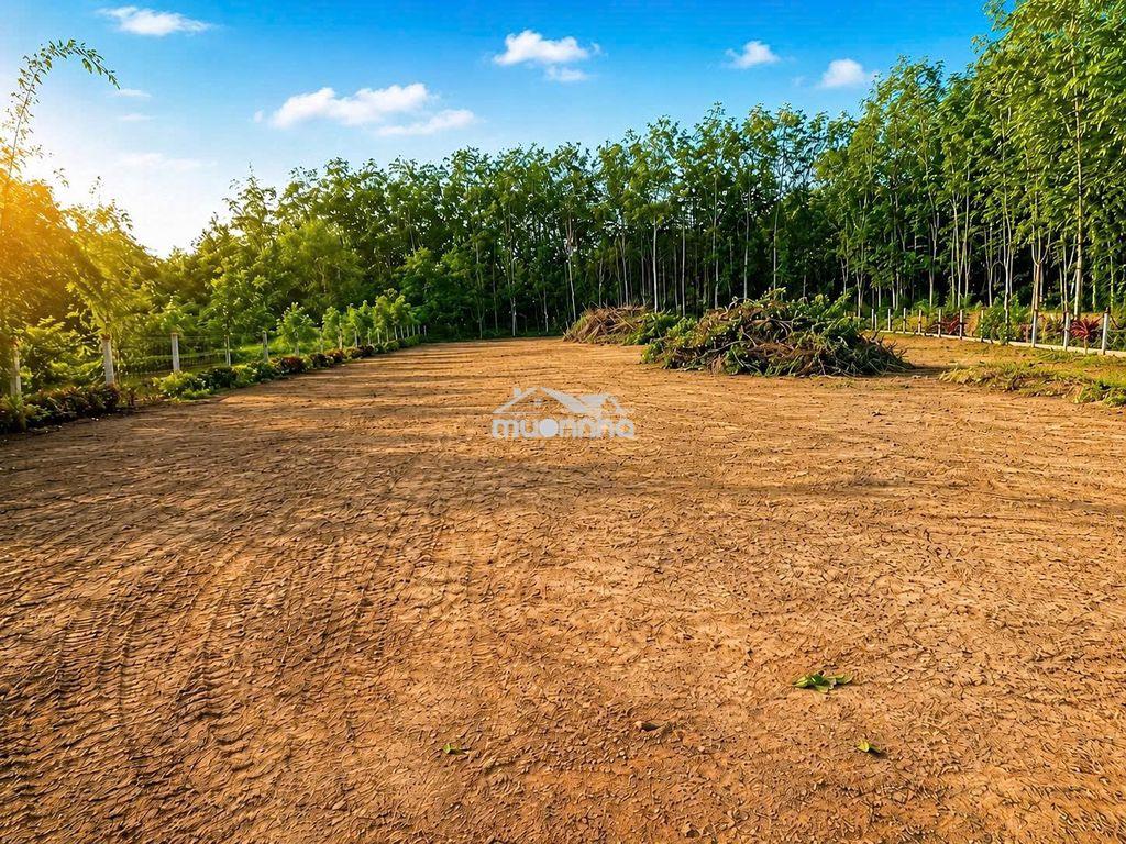 Đất góc 2 mặt tiền 1.200m² phú mỹ hưng, củ chi – chỉ 2 tỷ - 3