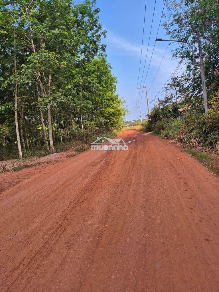 1200m2 & 1700m2 sào bám suối 660tr ngay chợ an thái kdc hiện hũu - 4