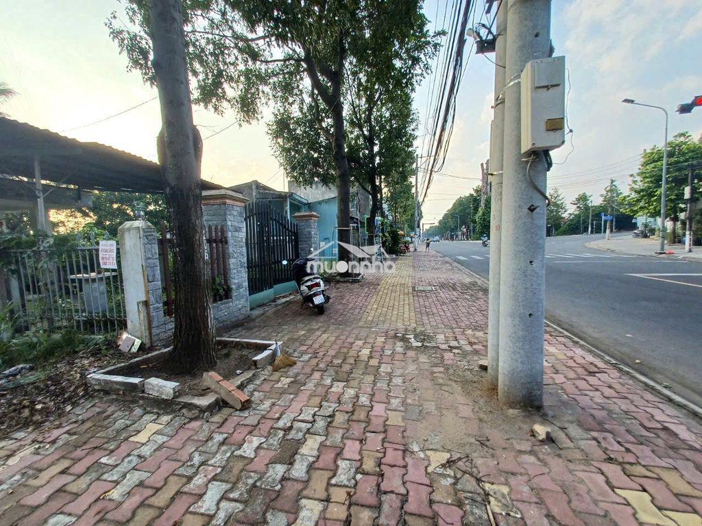 Bán gấp nhà mặt tiền đường nguyễn tri phương, phường chánh nghĩa, - 2