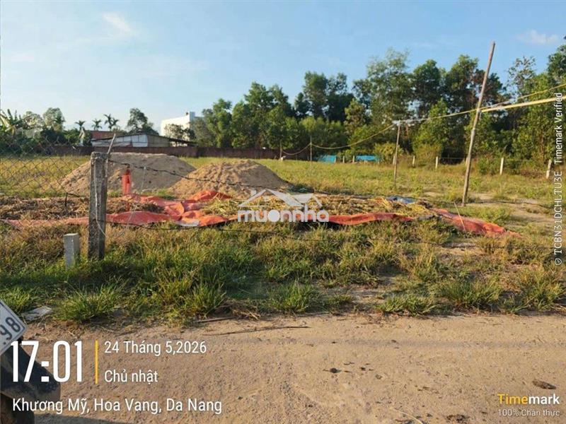 250m2 đất trồng cây hằng năm, khả năng lên thổ được trong tương lai