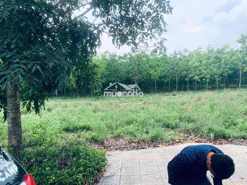Đất dự án gem sky world